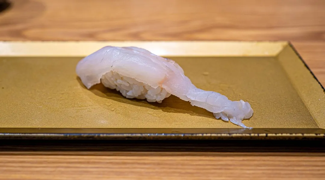 Olive flounder (hirame)