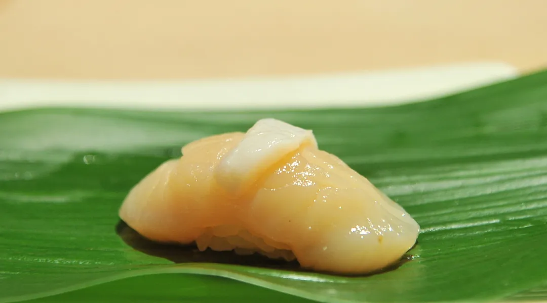 Scallop
