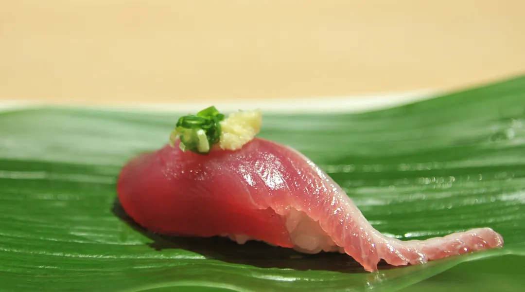 Skipjack tuna