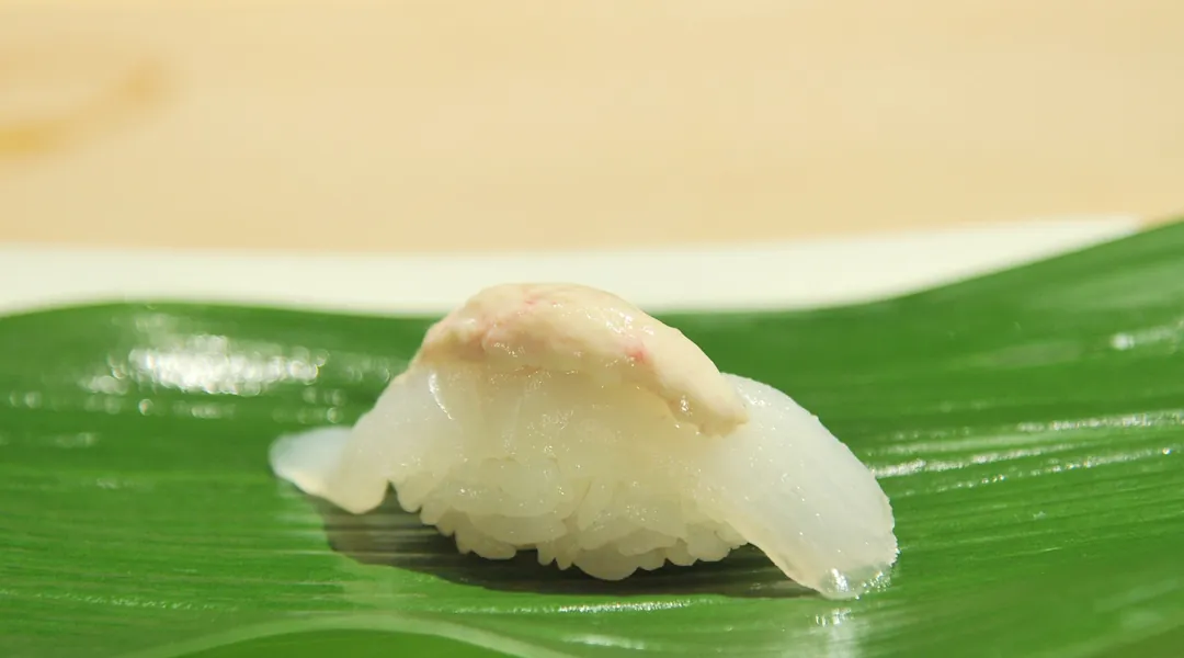 쥐치