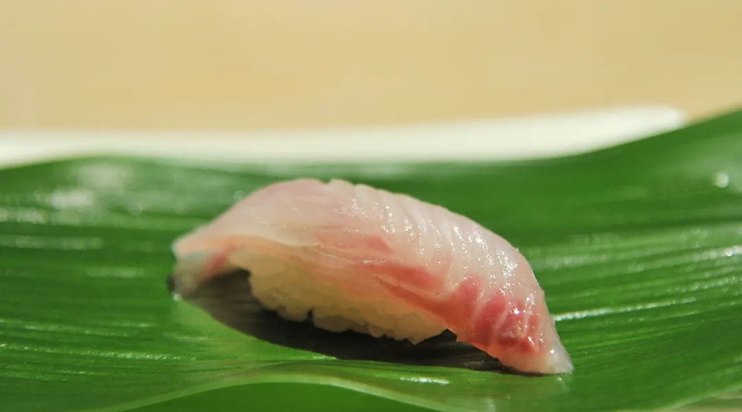 三線磯鱸