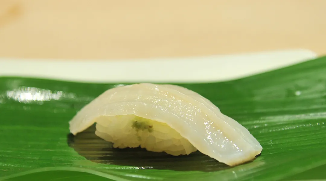 Tairagi (pen shell)