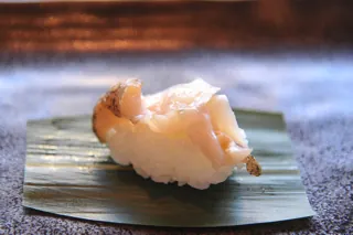 Трубач (цубу)
