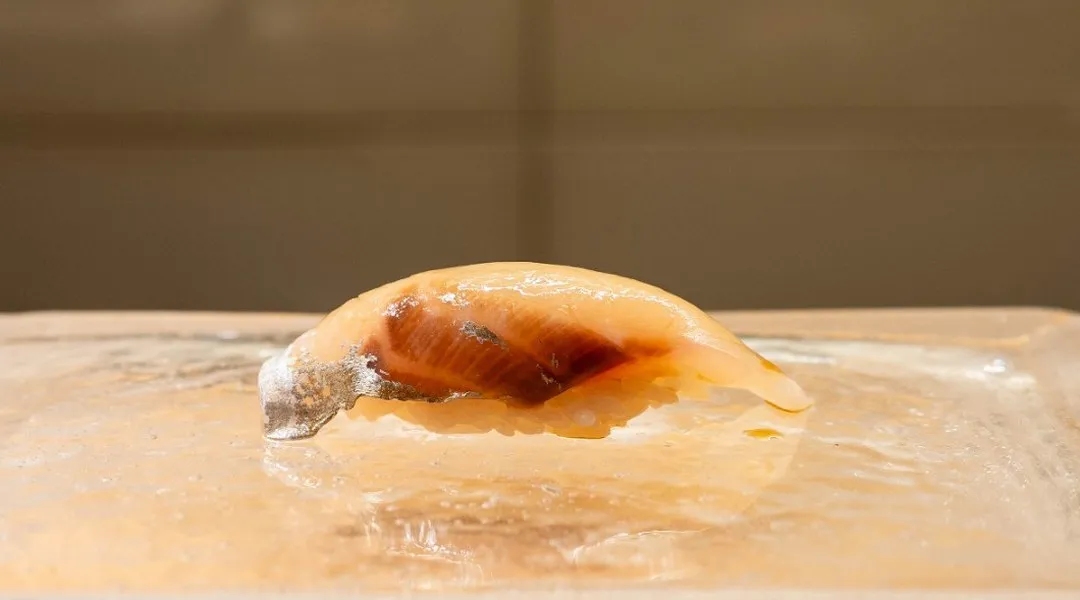 Shima-aji (striped jack)