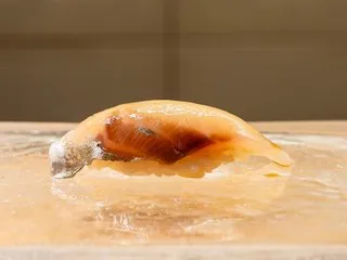 Shima-aji (striped jack)